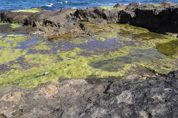 Türkiye 'deki Boğaz kıyısındaki antik Rumeli Feneri kalesi.