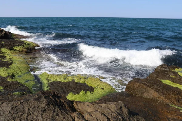 Den Antika Fästningen Rumeli Feneri Stranden Bosporen Turkiet — Stockfoto