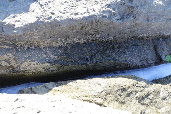 Türkiye 'deki Boğaz kıyısındaki antik Rumeli Feneri kalesi.