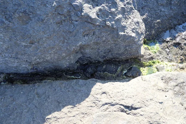 Den Antika Fästningen Rumeli Feneri Stranden Bosporen Turkiet — Stockfoto