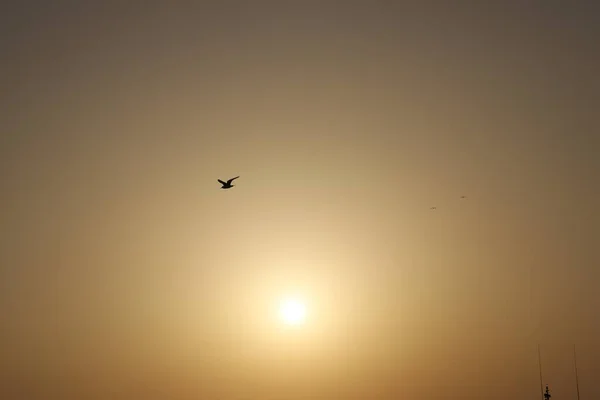 Восход Полдень Закат Мира — стоковое фото