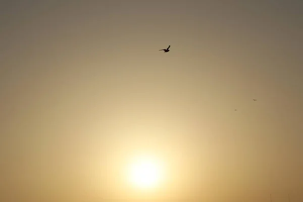 Восход Полдень Закат Мира — стоковое фото