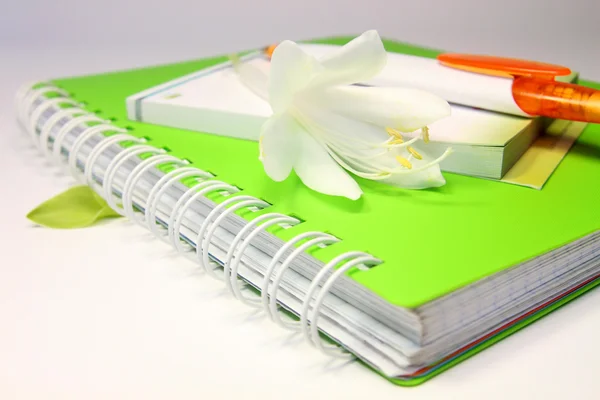 Cuaderno con pluma y flor —  Fotos de Stock