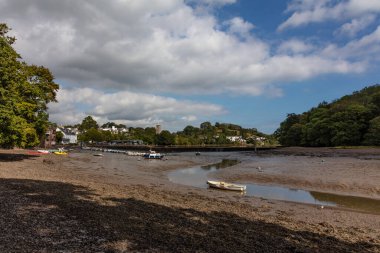 Stoke Gabriel köyü Dart nehrinin deresinde büyük değirmen havuzu, South Hams, İngiltere, Birleşik Krallık.