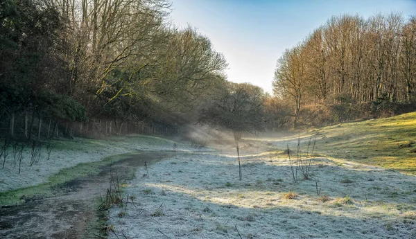冬の朝の霧 イギリス コッツウォルズ イギリスで覆われた木を通して輝く日差しと光線で霜の朝とストリーム — ストック写真