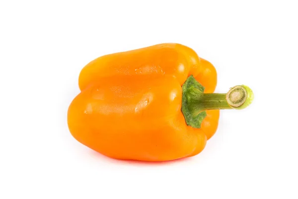 Pepper — Stock Photo, Image