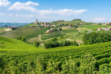 Langhe bölgesindeki Barbaresco köyünü çevreleyen güzel tepeler ve üzüm bağları. Cuneo, Piedmont, İtalya.