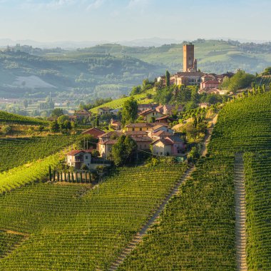 Langhe bölgesindeki Barbaresco köyünü çevreleyen güzel tepeler ve üzüm bağları. Cuneo, Piedmont, İtalya.