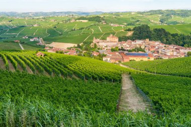 Güzel Barolo köyü ve üzüm bağları bir yaz öğleden sonra, İtalya 'nın Piedmont bölgesindeki Langhe bölgesinde..