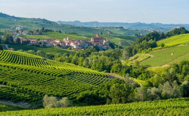 Güzel Barolo köyü ve üzüm bağları bir yaz öğleden sonra, İtalya 'nın Piedmont bölgesindeki Langhe bölgesinde..