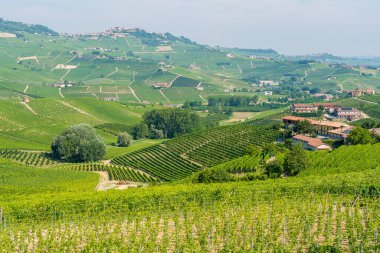 İtalya 'nın Piedmont bölgesindeki Castiglione Falletto ve üzüm bağlarının güzel köyü..