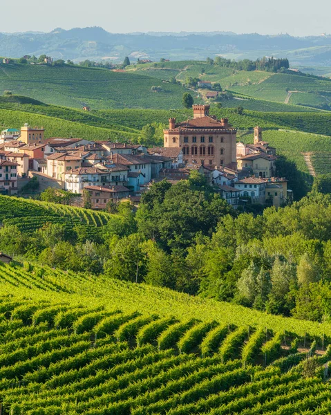 Bellissimo Borgo Barolo Suoi Vigneti Pomeriggio Estate Nelle Langhe Piemontesi — Foto Stock