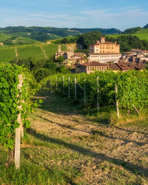 Bellissimo Borgo Barolo Suoi Vigneti Pomeriggio Estate Nelle Langhe Piemontesi — Foto Stock