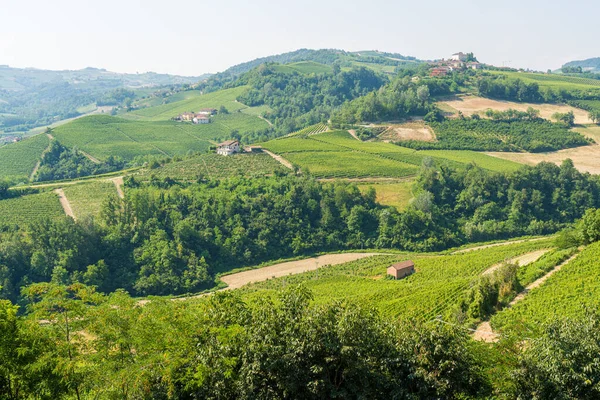 Beautiful Village Castiglione Falletto Its Vineyards Langhe Region Piedmont Italy — Stock Photo, Image