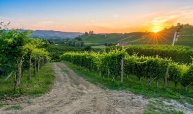 Grinzane Şatosu ve üzüm bağları gün batımında, İtalya 'nın Piedmont bölgesindeki Langhe bölgesinde..