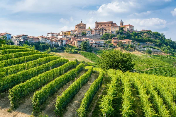 Beautiful Village Morra Its Vineyards Langhe Region Piedmont Italy — Stock Photo, Image