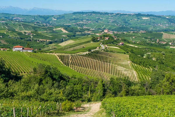Piękny Zamek Grinzane Jego Winnice Regionie Langhe Piemoncie Włochy — Zdjęcie stockowe