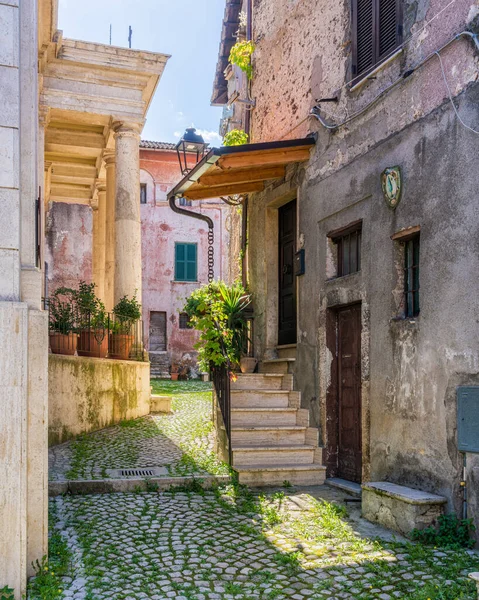 Vista Panorámica Carpineto Romano Hermosa Pequeña Ciudad Provincia Roma Lazio — Foto de Stock