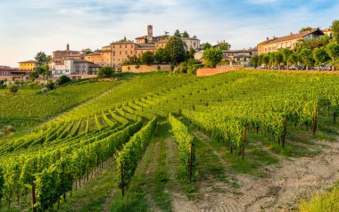The beautiful village of Neive and its vineyards in the Langhe region of Piedmont, Italy. clipart