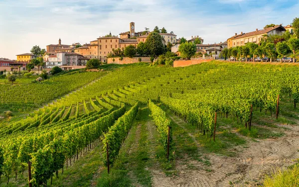 Piękna Wioska Neive Jej Winnice Regionie Langhe Piemoncie Włochy — Zdjęcie stockowe