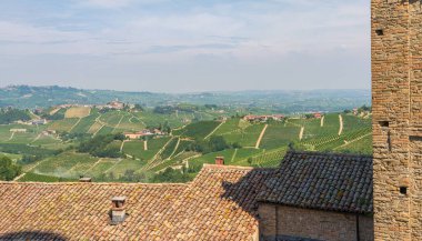 İtalya 'nın Piedmont bölgesindeki Serralunga d' Alba 'da manzara..