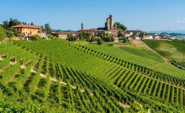 Piękna Wioska Serralunga Alba Jej Winnice Regionie Langhe Piemoncie Włochy — Zdjęcie stockowe