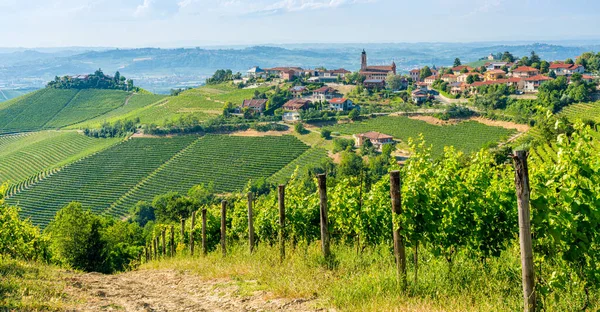Piękne Wzgórza Winnice Otaczające Treiso Regionie Langhe Cuneo Piemont Włochy — Zdjęcie stockowe