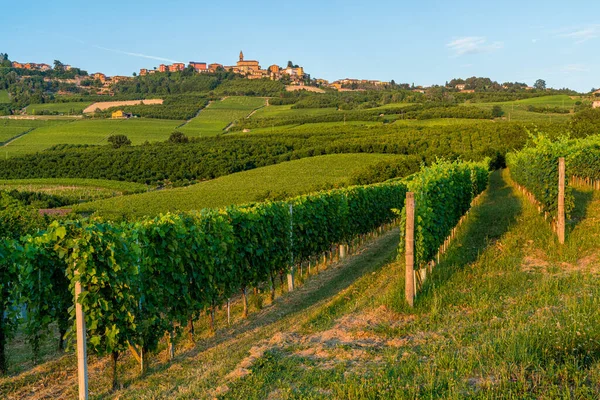 Piękna Wioska Diano Alba Jej Winnice Regionie Langhe Piemoncie Włochy — Zdjęcie stockowe
