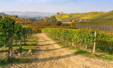 Grinzane Cavour Kalesi 'ni çevreleyen sonbahar mevsimi boyunca güzel tepeler ve üzüm bağları. Langhe bölgesinde, Cuneo, Piedmont, İtalya.