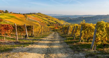 Beautiful autumnal landscape near Barolo, in the Langhe region of Piedmont, northern Italy. clipart