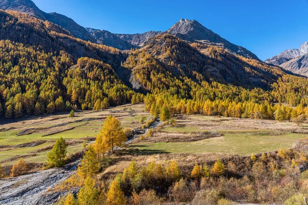 意大利北部皮埃蒙特市Chianale村附近Varaita山谷美丽的秋天风景 — 图库照片