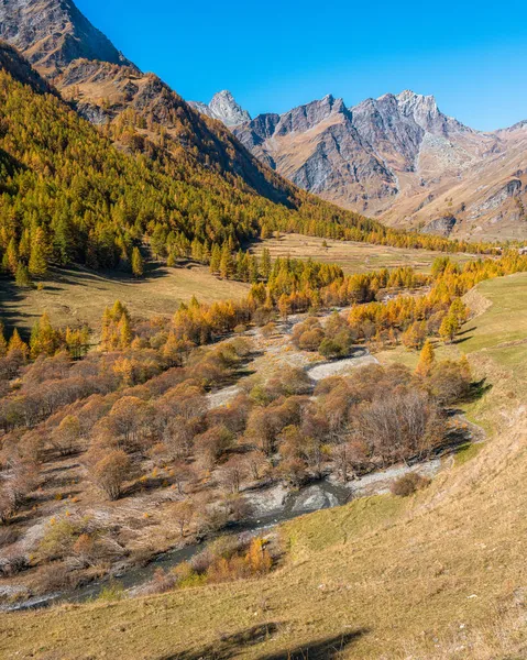 意大利北部皮埃蒙特市Chianale村附近Varaita山谷美丽的秋天风景 — 图库照片