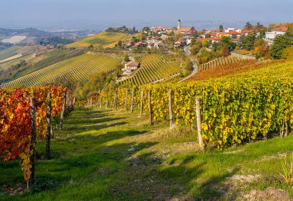 Piękne Wzgórza Winnice Sezonie Jesiennym Otaczające Wioskę Treiso Regionie Langhe — Zdjęcie stockowe