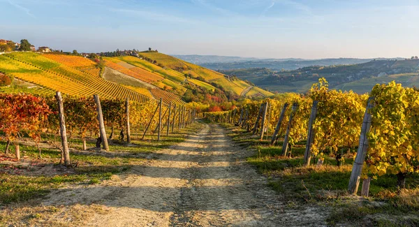 Beautiful Autumnal Landscape Barolo Langhe Region Piedmont Northern Italy — Stock Photo, Image