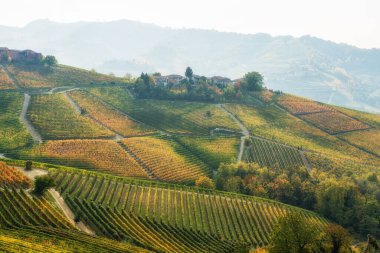 Sonbahar mevsiminde Serralunga d 'Alba köyünü çevreleyen güzel tepeler ve üzüm bağları. Langhe bölgesinde, Cuneo, Piedmont, İtalya.