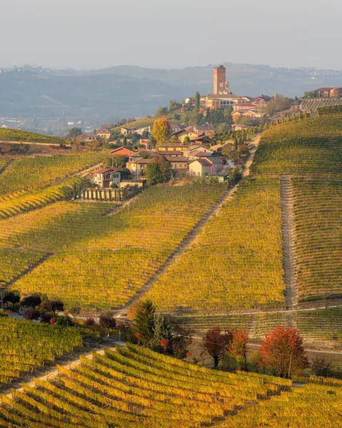 Beautiful Hills Vineyards Fall Season Surrounding Barbaresco Village Langhe Region — Stock Photo, Image