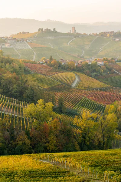 Beautiful Hills Vineyards Fall Season Surrounding Barbaresco Village Langhe Region — Stock Photo, Image