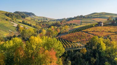 Beautiful hills and vineyards during fall season surrounding Barolo village. In the Langhe region, Cuneo, Piedmont, Italy. clipart