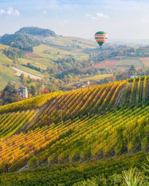 Sonbahar mevsiminde Barolo köyünü çevreleyen güzel tepeler ve üzüm bağları. Langhe bölgesinde, Cuneo, Piedmont, İtalya.