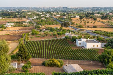 Locorotondo 'dan panoramik manzara, Bari Eyaleti, Apulia (Puglia), Güney İtalya.