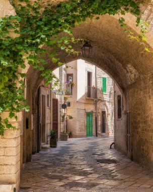 Giovinazzo 'da manzara, güney İtalya' da Bari, Puglia (Apulia) iline bağlı bir kasaba..