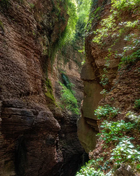 Senaryo Orrido di Ponte Alto, Trento yakınlarındaki güzel bir kanyon, Trentino Alto Adige, kuzey İtalya.