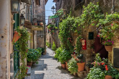 Viterbo Eyaleti 'ndeki güzel küçük Capranica kasabası. Lazio, orta İtalya.
