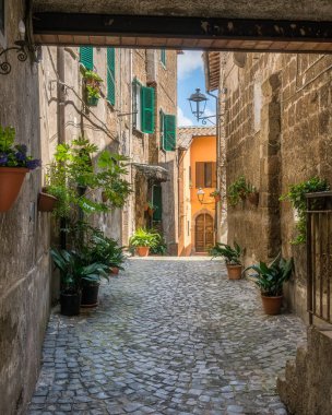 Viterbo Eyaleti 'ndeki güzel küçük Capranica kasabası. Lazio, orta İtalya.