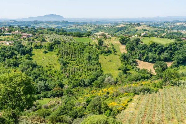 Calvi Dell Umbria Όμορφο Χωριό Στην Επαρχία Terni Umbria Ιταλία — Φωτογραφία Αρχείου