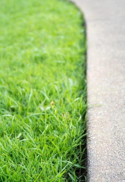 徒歩の部分に緑の芝生を閉じる方法 — ストック写真