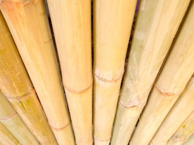 Bambu çit arka plan