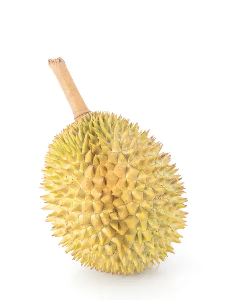 Roi des fruits, durian — Photo