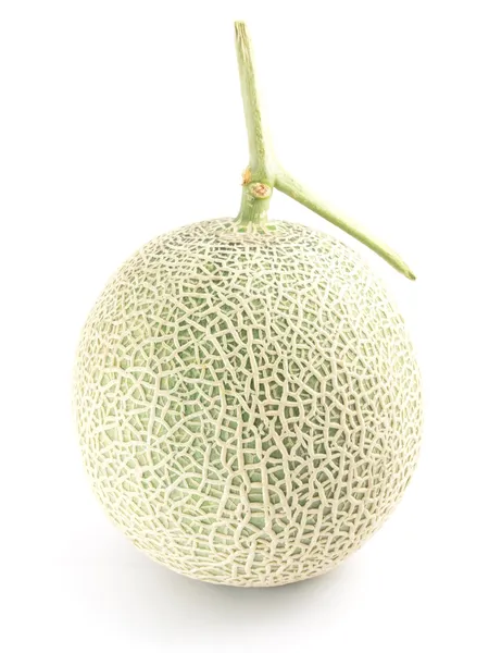 Melon — Stock Photo, Image