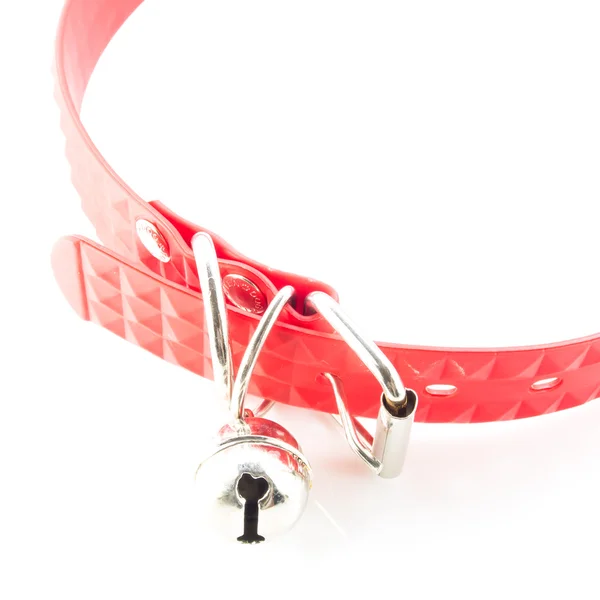 シリコーンの犬の首輪 — ストック写真